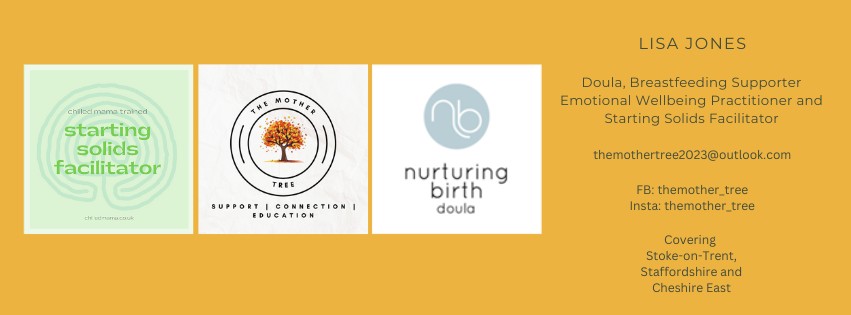 455283288_359166887246425_2723945645645661605_n